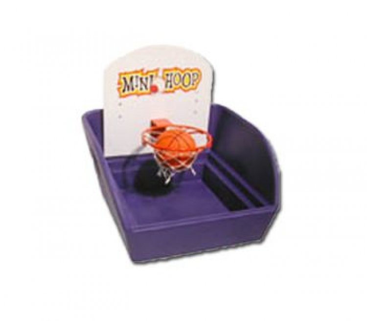 Mini Basketball Toss