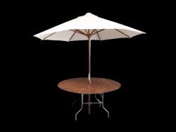 Umbrella table w/ umbrella (colors may vary)